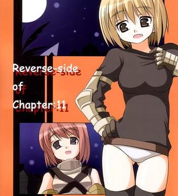 reverse side of chapter 11 cover