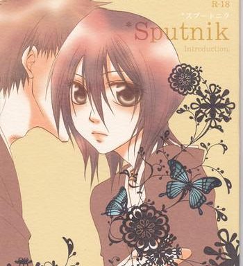 sputnik introduction cover