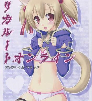 silica route online 2 cover