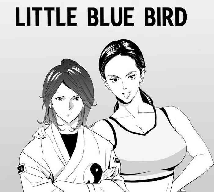 little blue bird cover