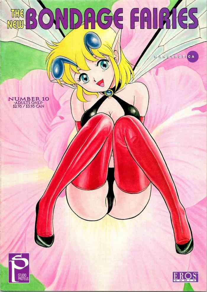 the new bondage fairies 10 cover