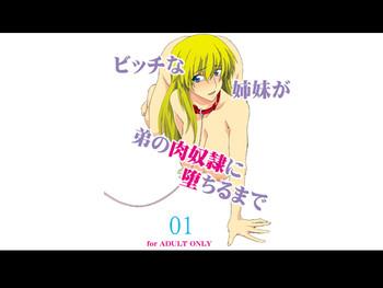 bitch na shimai ga otouto no niku dorei ni ochiru made 01 cover