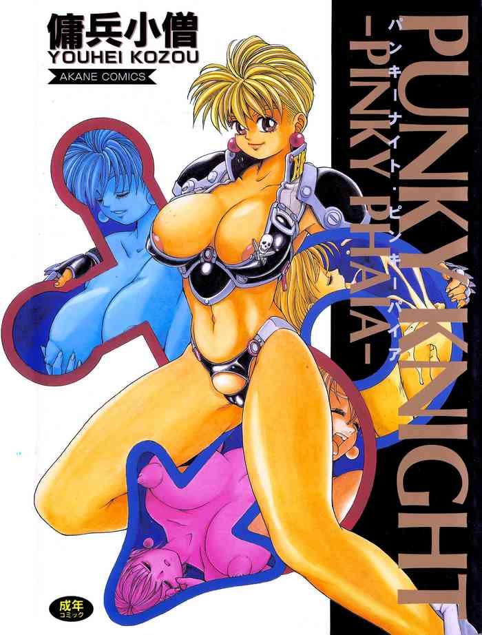 punky knight cover