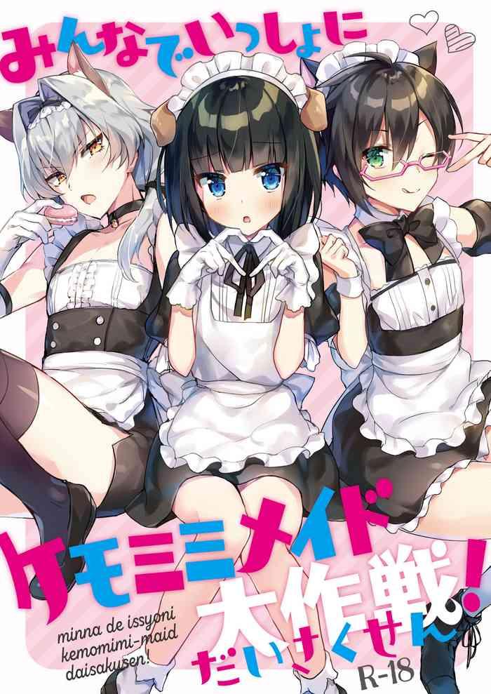 operation kemonomimi maids all together cover