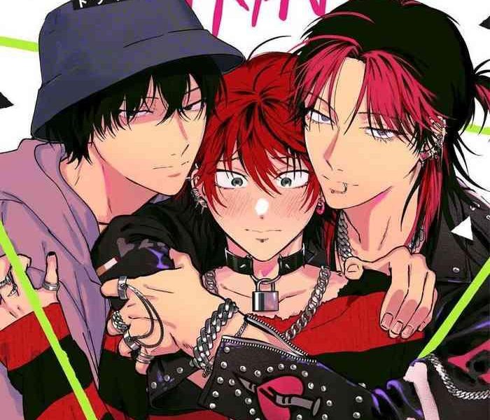 punks triangle cover