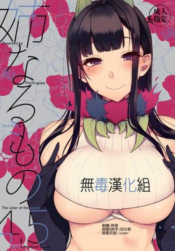 ane naru mono 4 5 cover