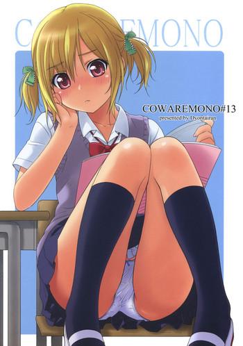 cowaremono 13 cover