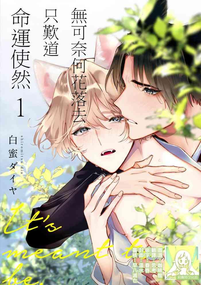 dou shiyou mo nai hodo ni unmei 1 3 cover