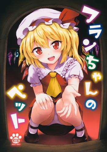 flan chan no pet cover